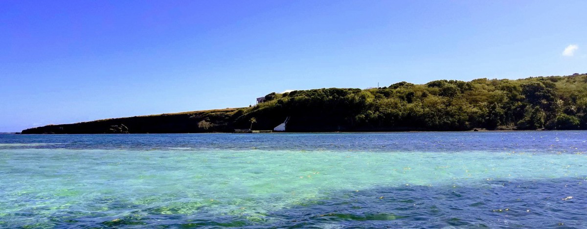 Fonds Blancs en Martinique
