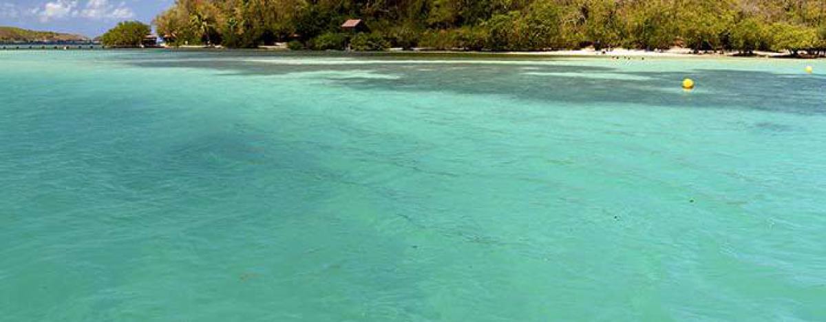 Fonds Blancs en Martinique