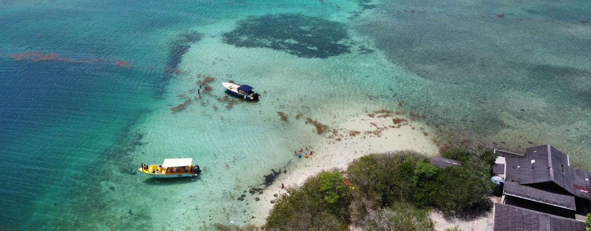 Excursion en catamaran Martinique