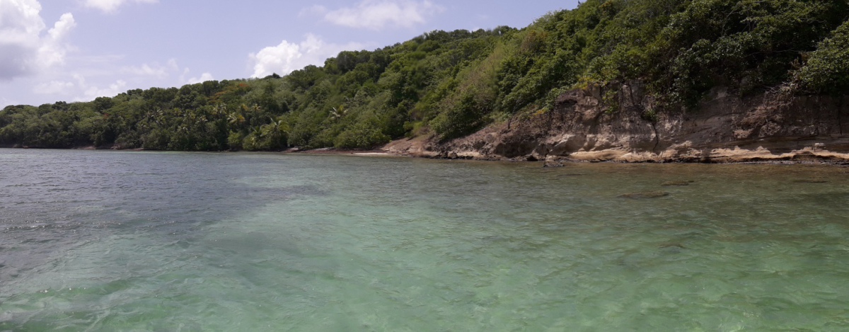 Sortie en mer Fonds Blancs Martinique